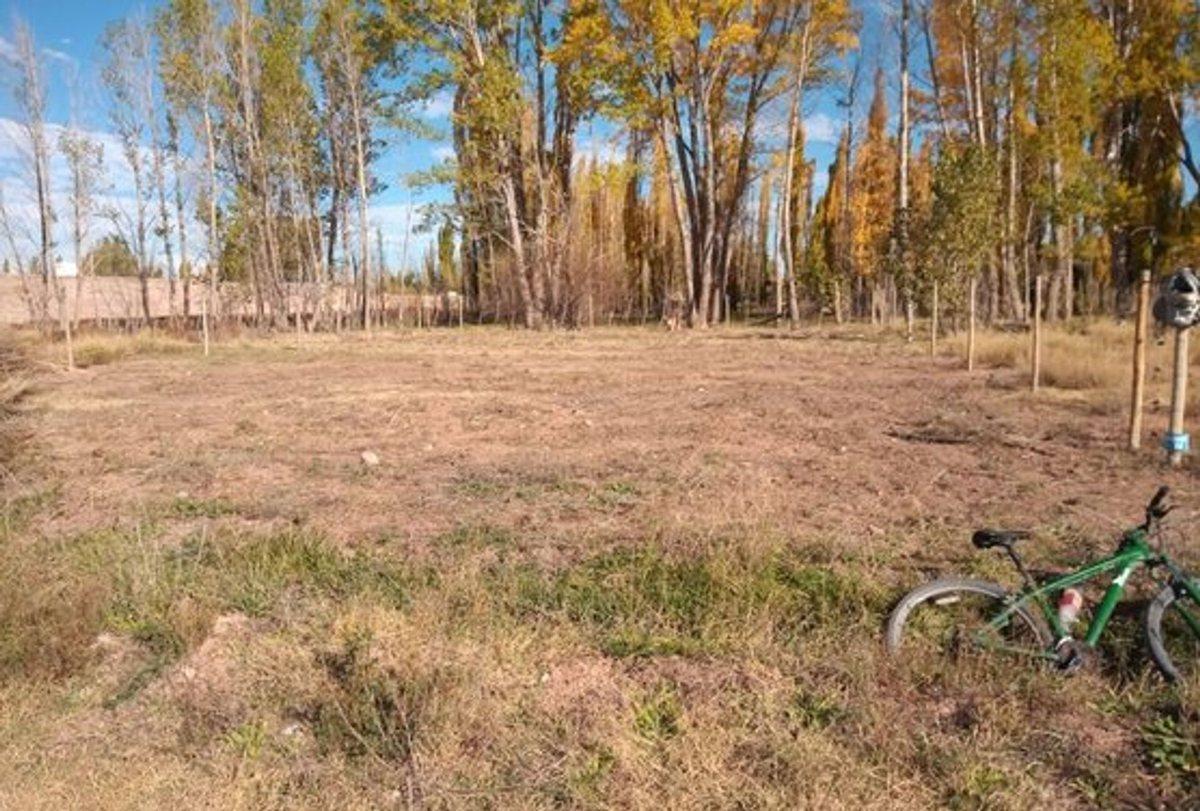 Foto de OPORTUNIDAD,TERRENO 730m EN EL CENTRO DE MALARGUE, imagen 3