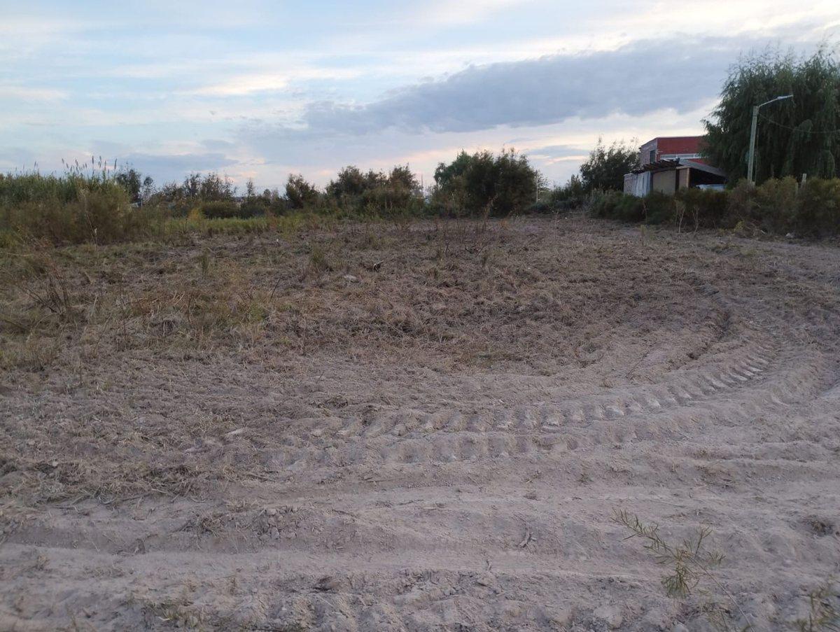 Foto de TERRENO EN VENTA EN COLONIA BOMBAL, imagen 2