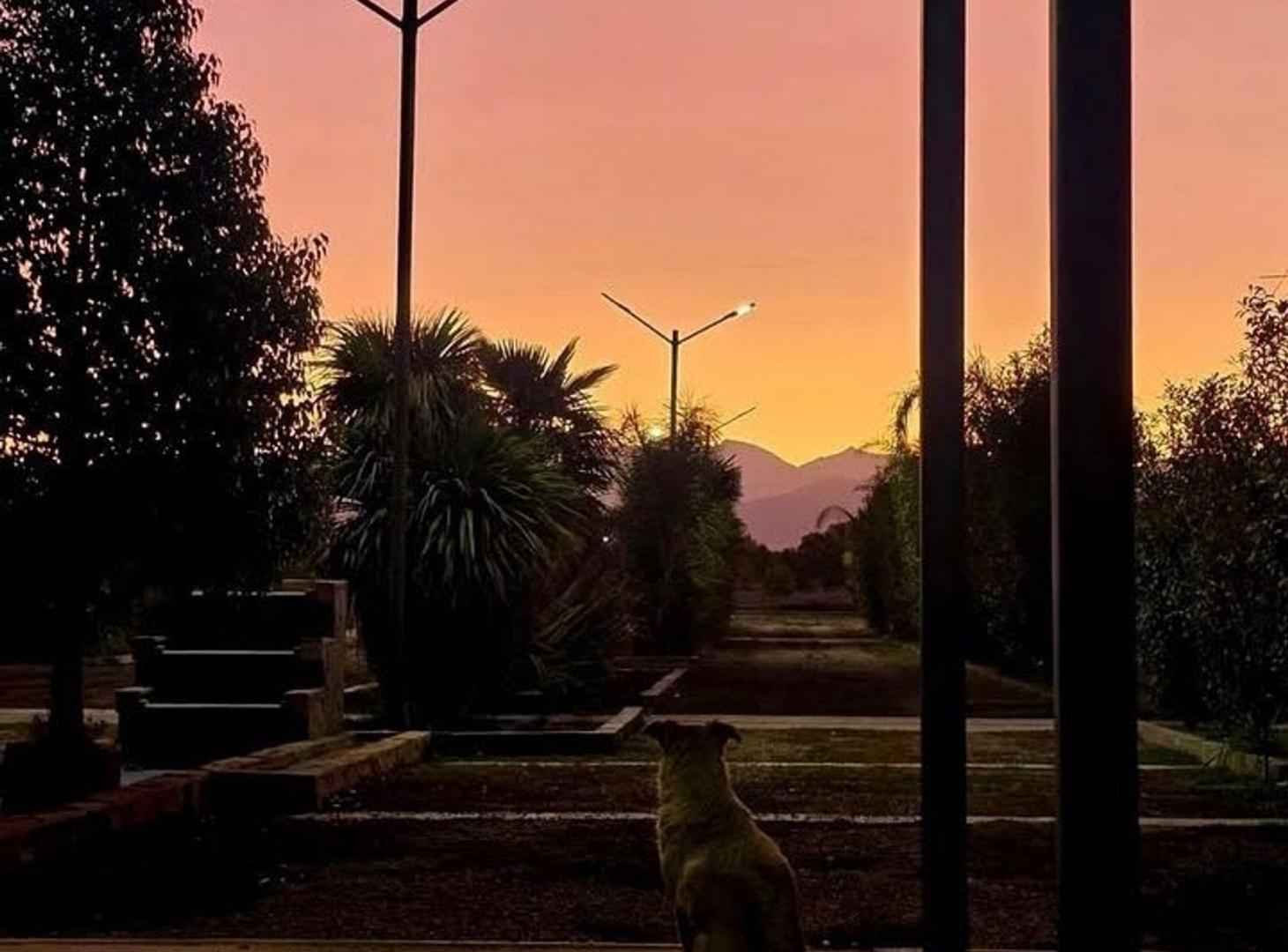 Foto de LOTE EN VENTA EN OZAMIS SUR MAIPU, imagen 4