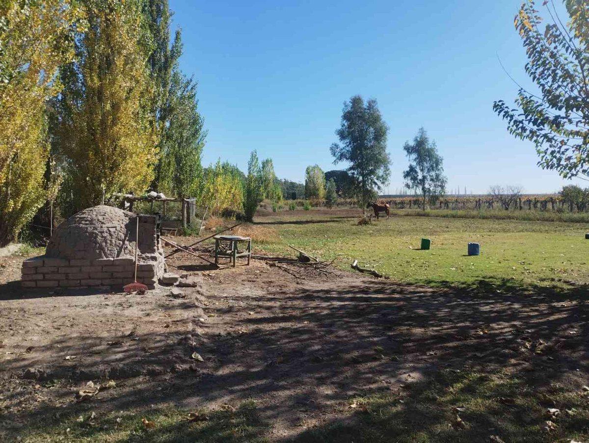 Foto de Venta de Finca en La Dormida, Santa Rosa, Mendoza, imagen 3