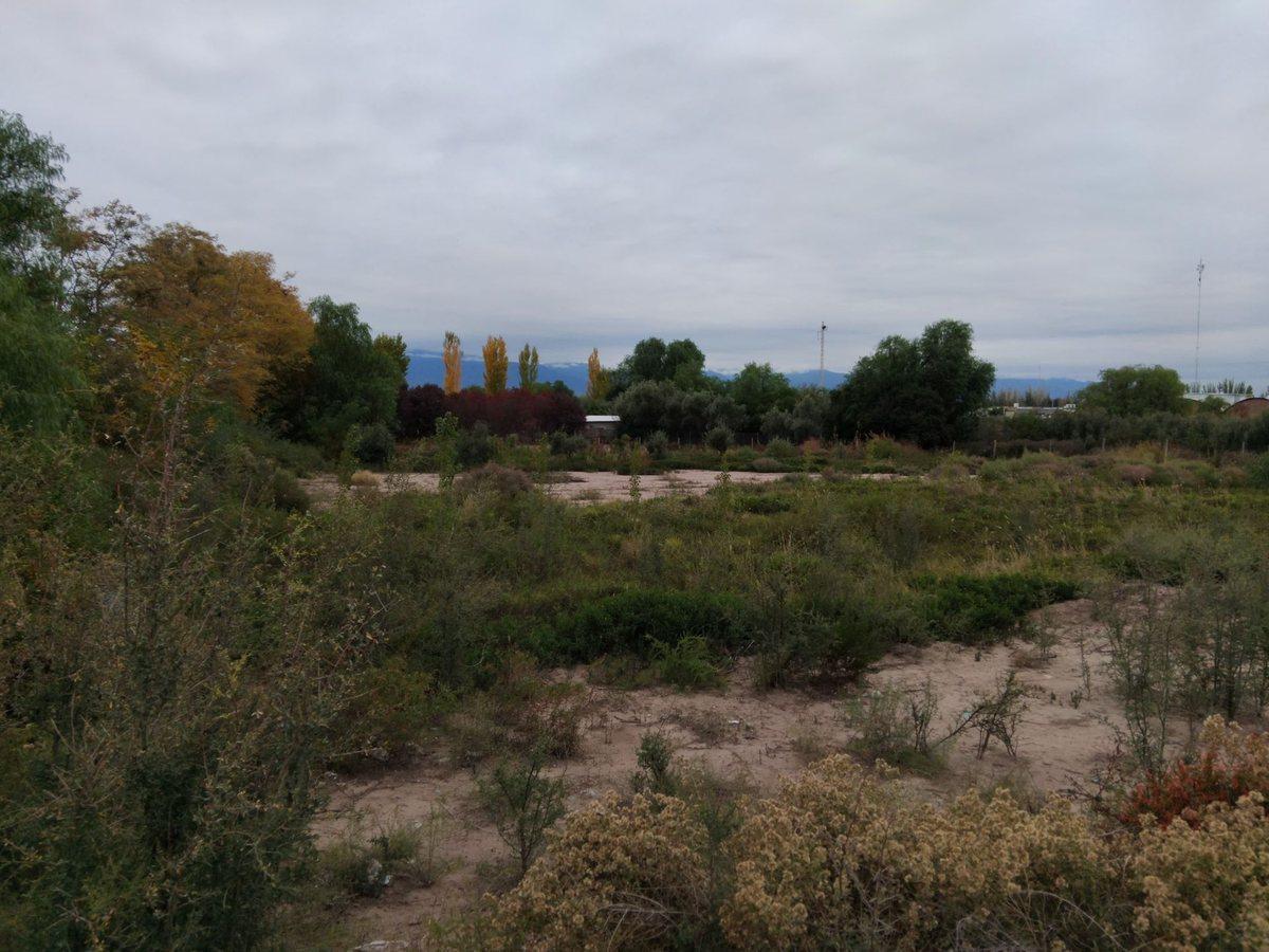 Foto de VENTA DE GRAN TERRENO INDUSTRIAL EN CALLE TERRADA, imagen 3