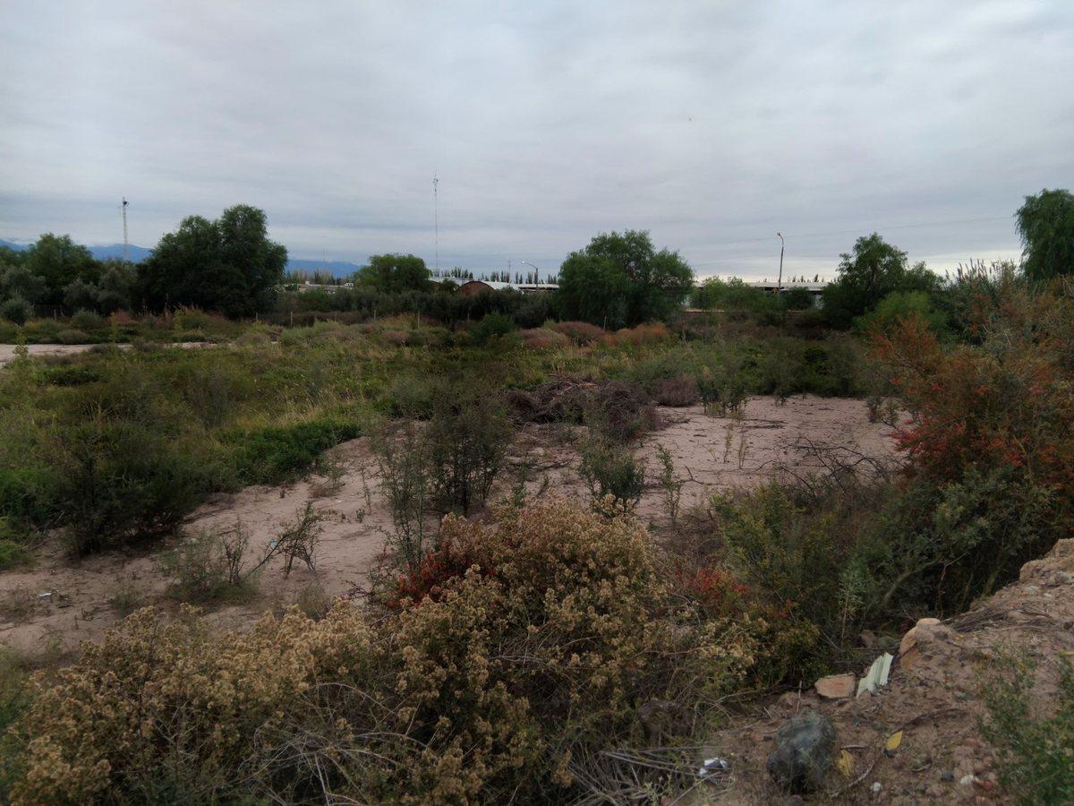 Foto de VENTA DE GRAN TERRENO INDUSTRIAL EN CALLE TERRADA, imagen 1