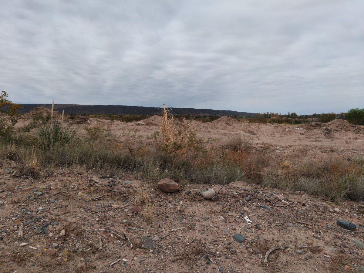 Foto de VENTA DE GRAN TERRENO INDUSTRIAL EN CALLE TERRADA, imagen 2