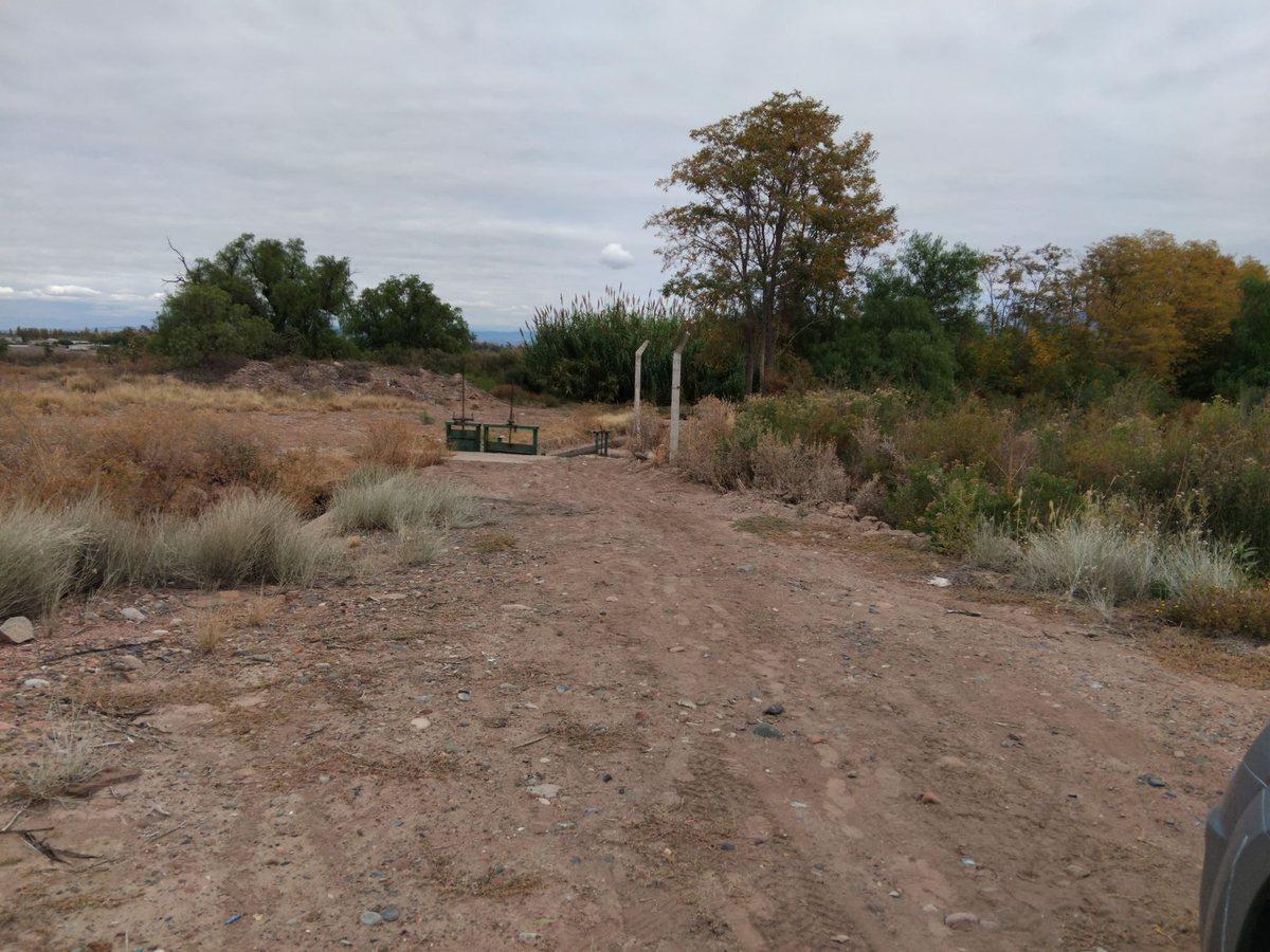 Foto de VENTA DE GRAN TERRENO INDUSTRIAL EN CALLE TERRADA, imagen 5