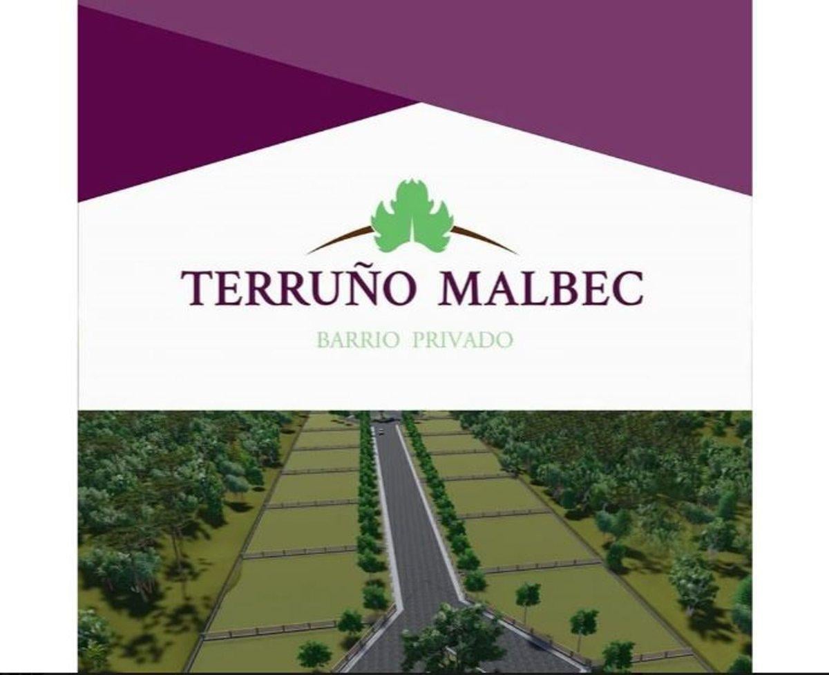 Foto de TERRENO EN VENTA EN TERRUÑO MALBEC BARRIO PRIVADO, imagen 3