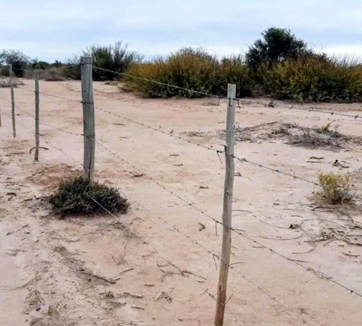 Foto de Remax Vende Campo, imagen 3