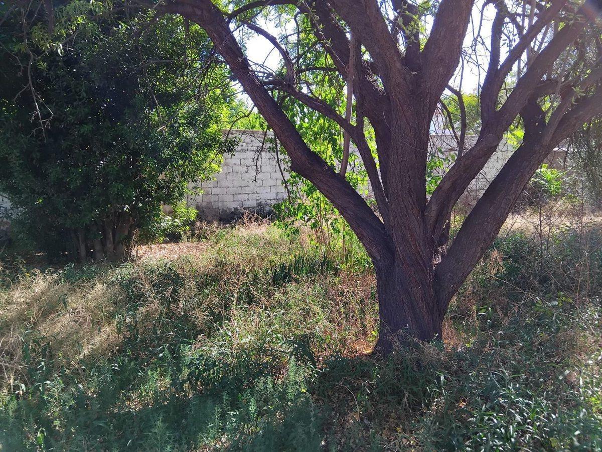 Foto de VENTA DE TERRENO EXCELENTE UBICACIÓN EN LUJÁN, imagen 2