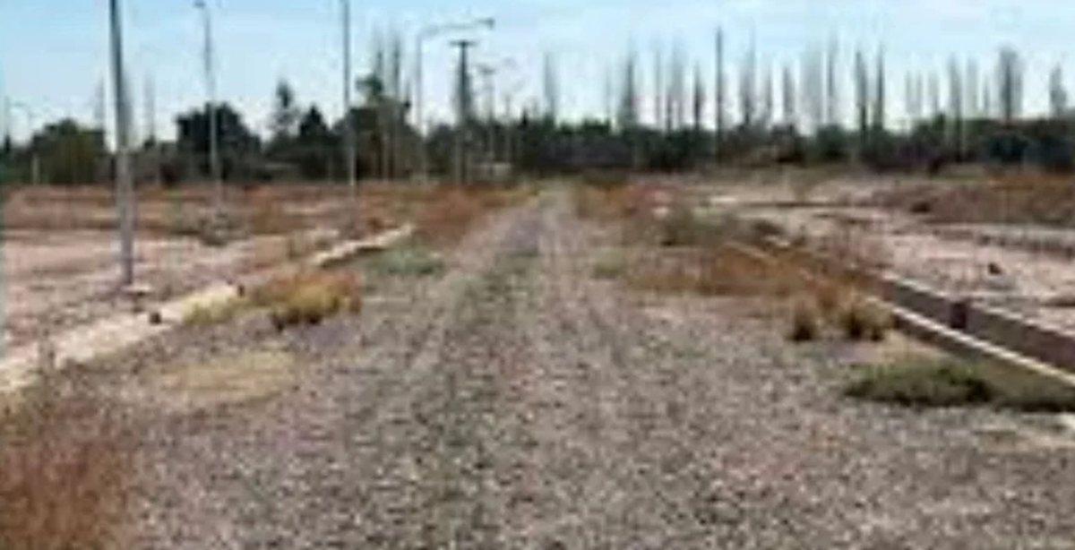 Foto de Lote en Venta Lunlunta Maipú, La Arbequina, imagen 3