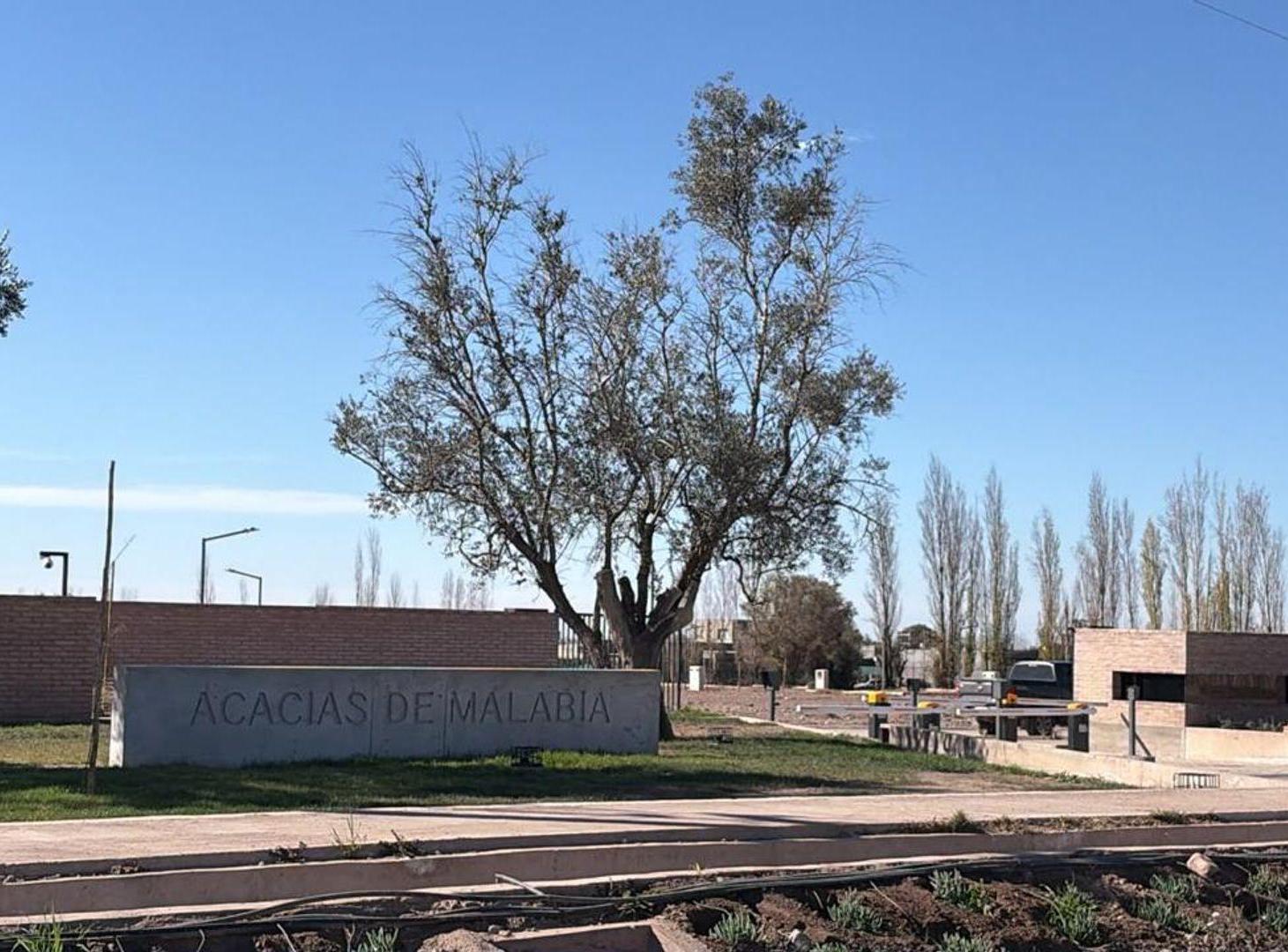 Foto de POZO EN ACACIAS MALABIA, imagen 3