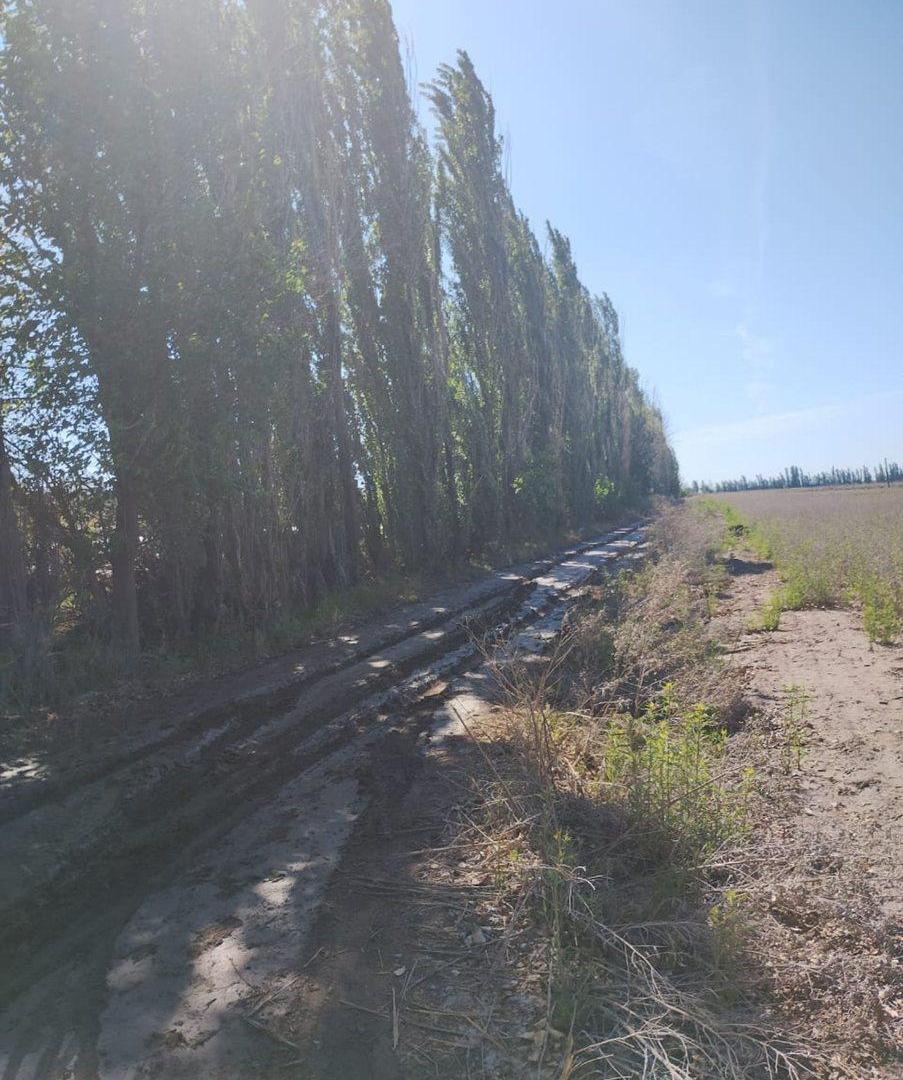 Foto de CALLE LOS PINOS GRAN INVERSIÓN!, imagen 2