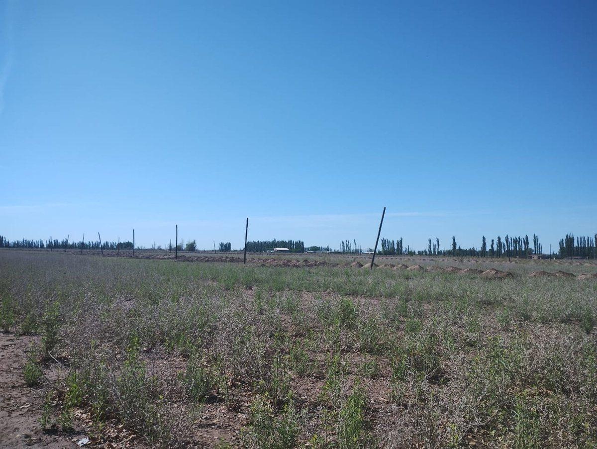 Foto de CALLE LOS PINOS GRAN INVERSIÓN!, imagen 1