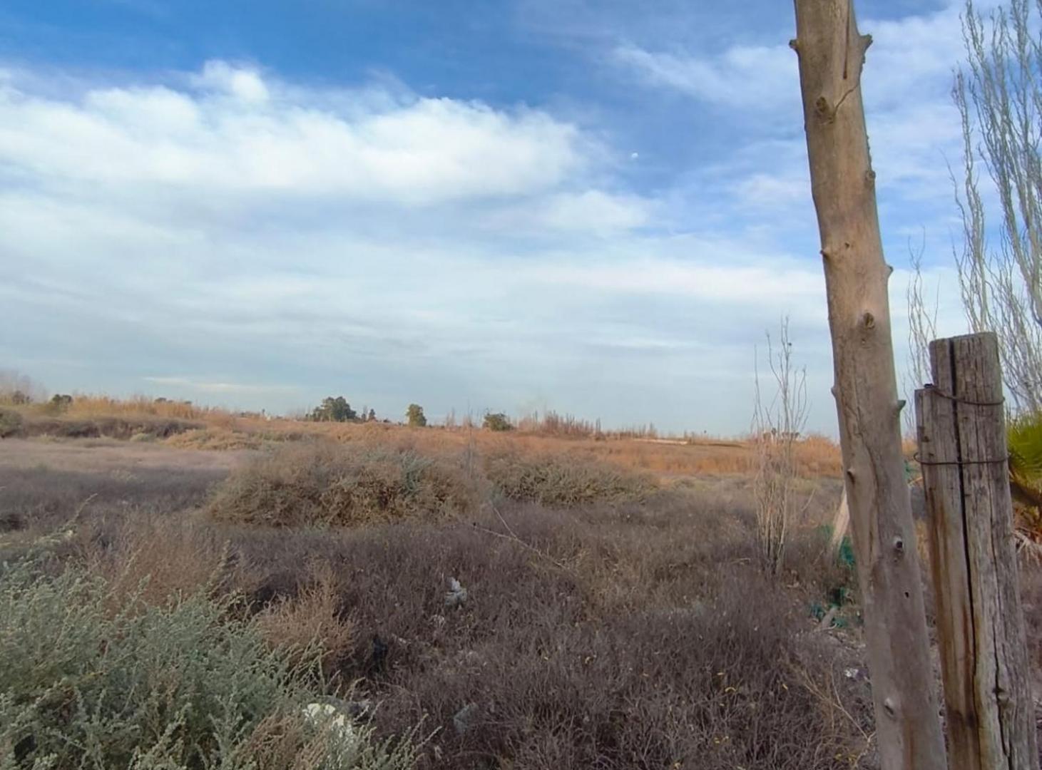 Foto de TERRENO DE 10000 m – LOS CORRALITOS, imagen 1