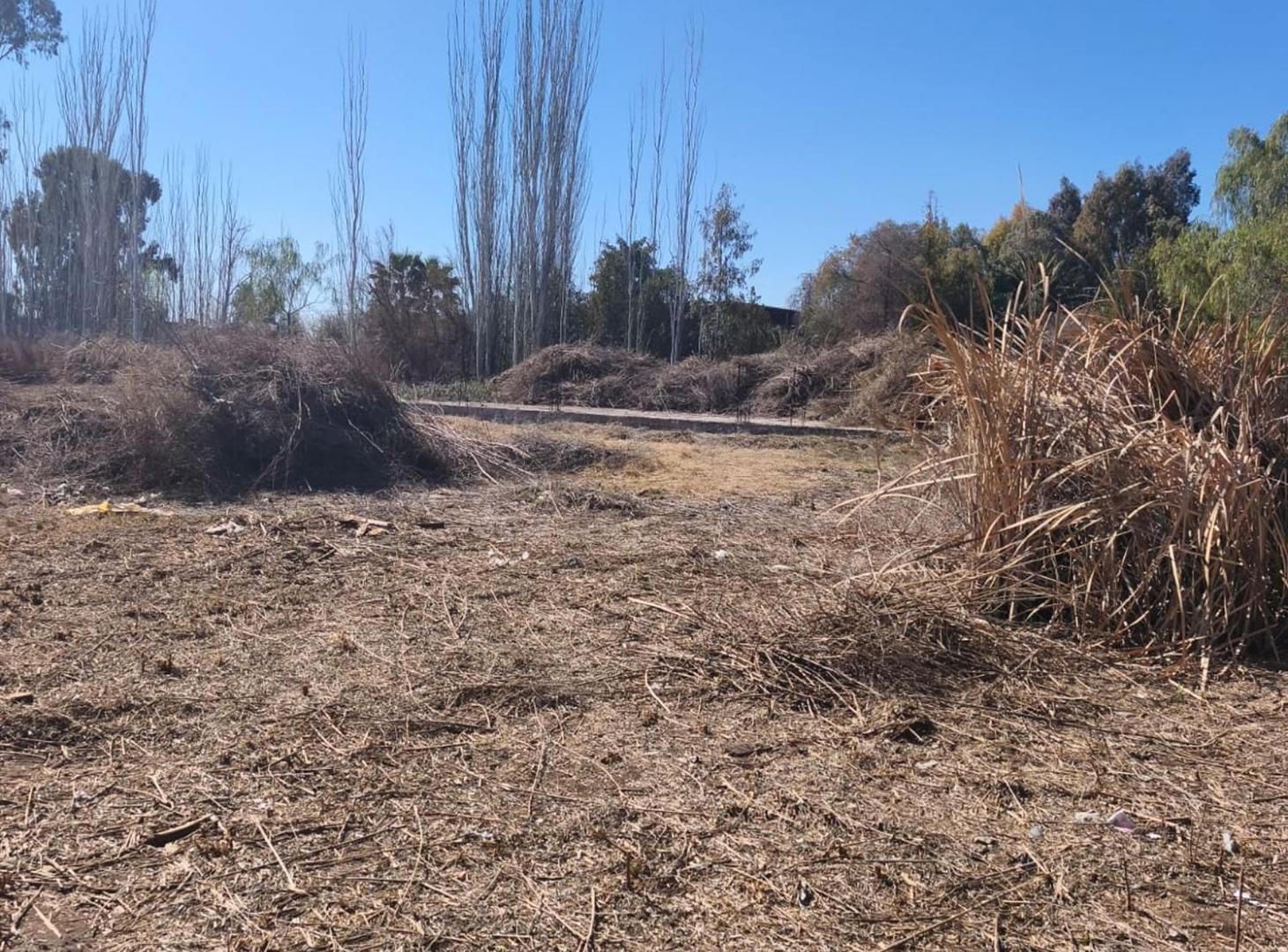 Foto de TERRENO CON GRAN POTENCIAL – LOS CORRALITOS, GLLEN, imagen 2