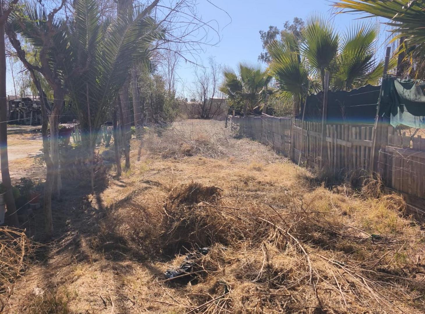 Foto de TERRENO CON GRAN POTENCIAL – LOS CORRALITOS, GLLEN, imagen 3