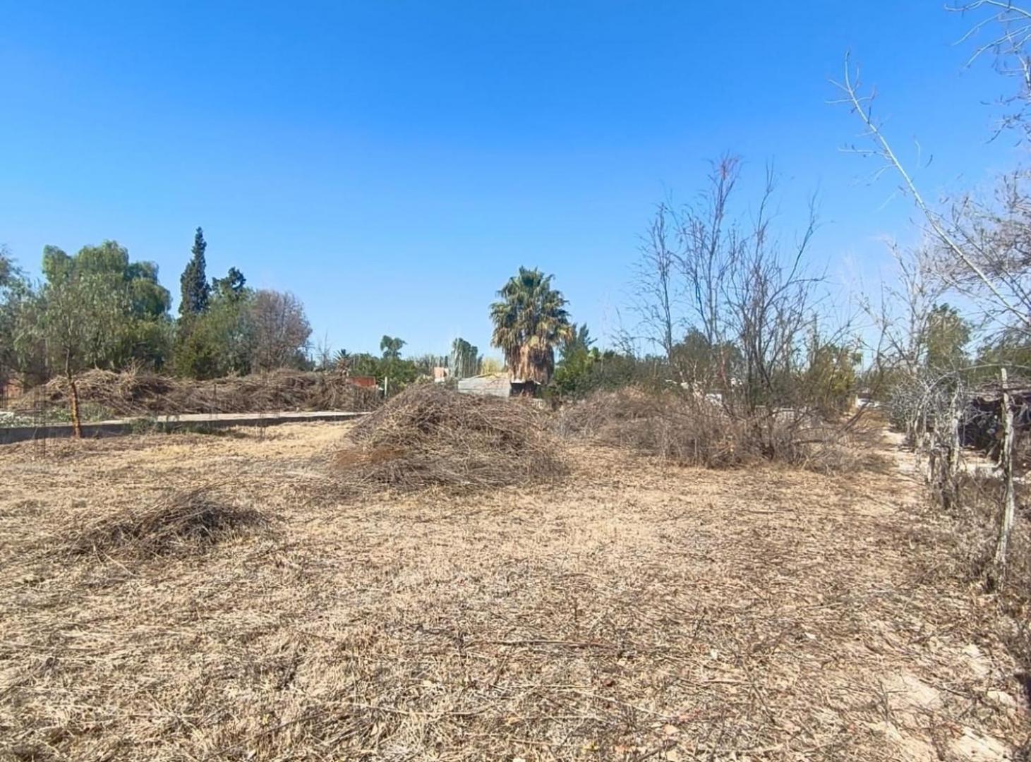 Foto de TERRENO CON GRAN POTENCIAL – LOS CORRALITOS, GLLEN, imagen 4