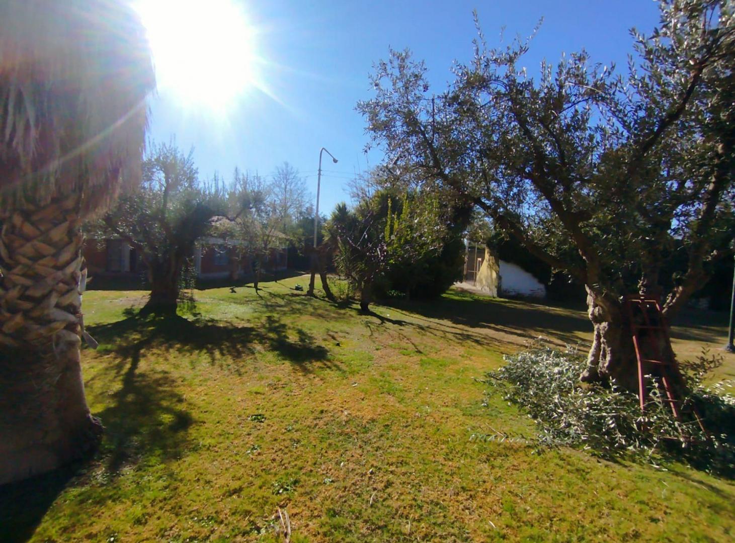 Foto de TERRENO EN VENTA CHACRAS DE CORIA MENDOZA, imagen 1