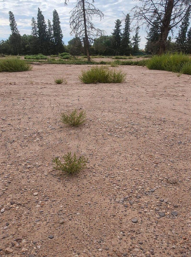 Foto de BARRIO TACAS II TERRENO 300M2 APTO PH, imagen 3