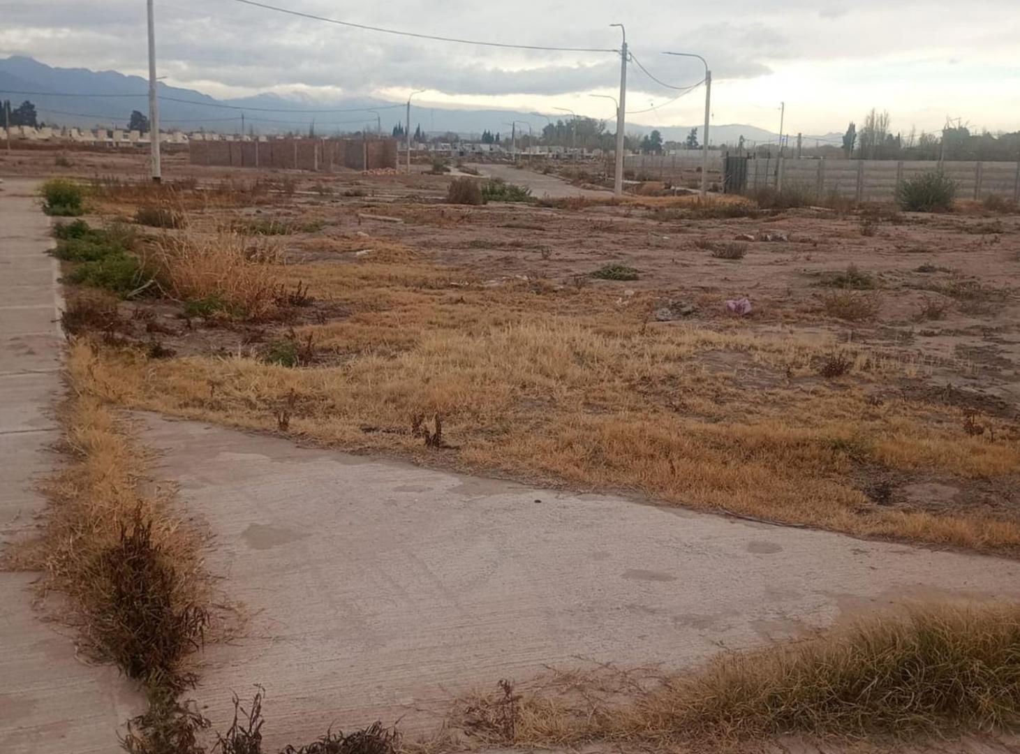 Foto de TERRENO EN VENTA B° NATANIA 44 | 250 m², imagen 3