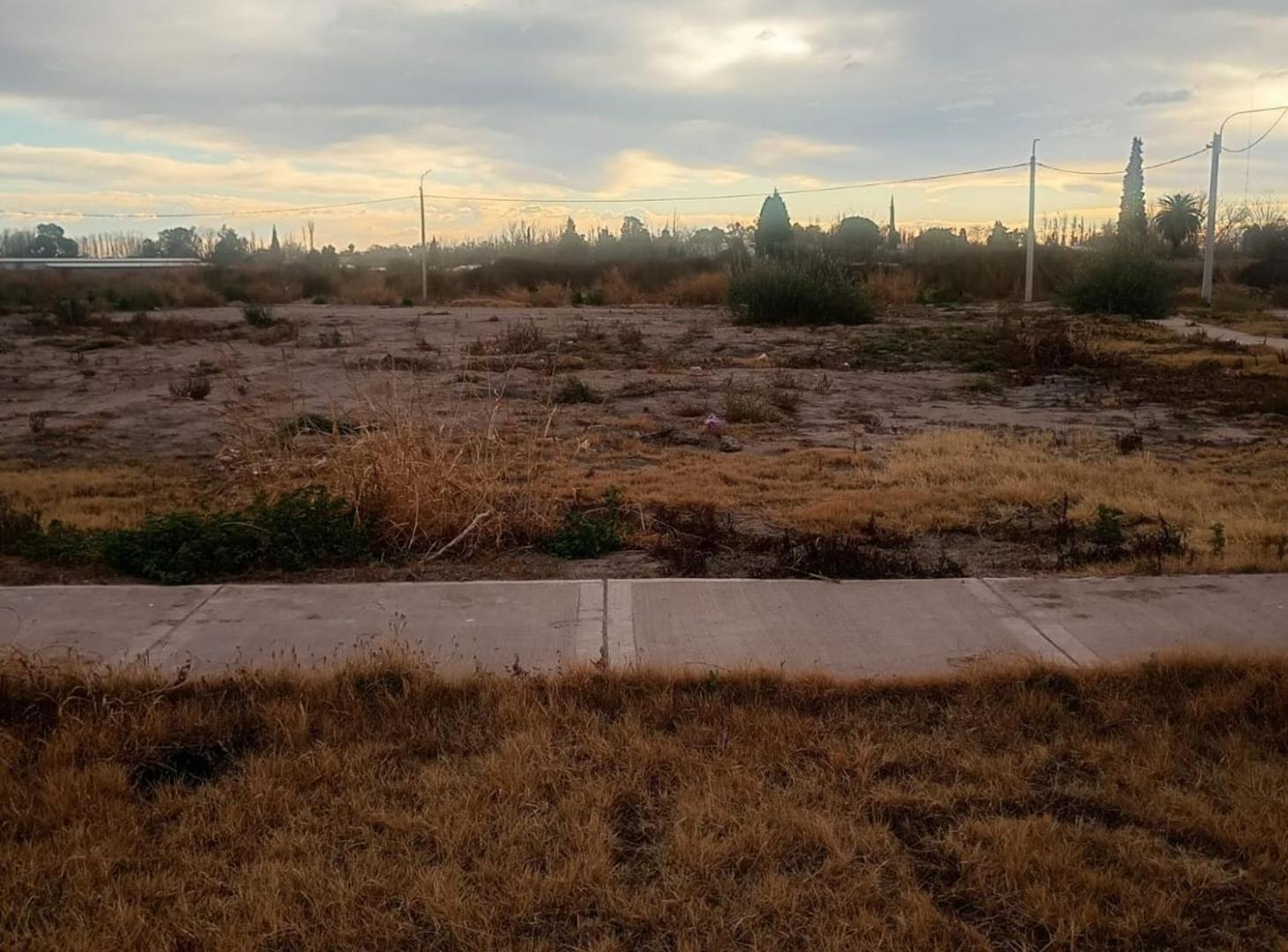 Foto de TERRENO EN VENTA B° NATANIA 44 | 250 m², imagen 4