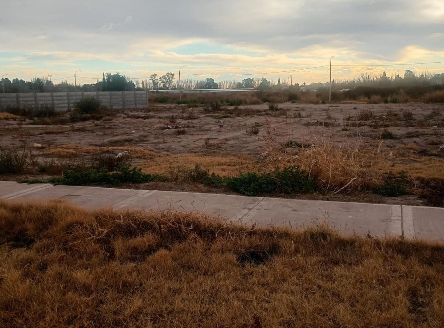 Foto de TERRENO EN VENTA B° NATANIA 44 | 250 m², imagen 2