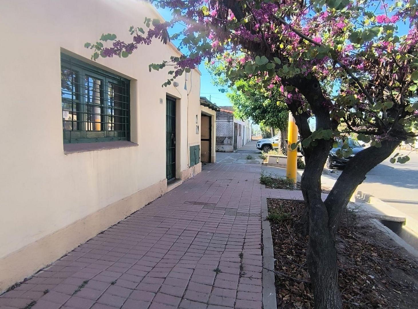 Foto de venta de terreno con casa Lujan de Cuyo J.P Norton, imagen 3
