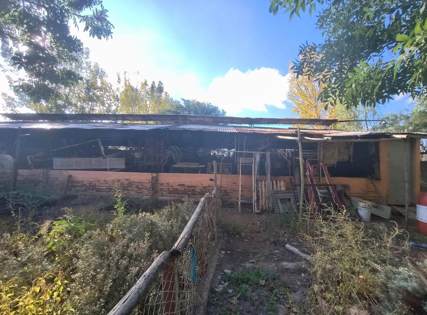 Foto de FINCA MAS SALON EN VENTA – EL ALGARROBAL, imagen 2