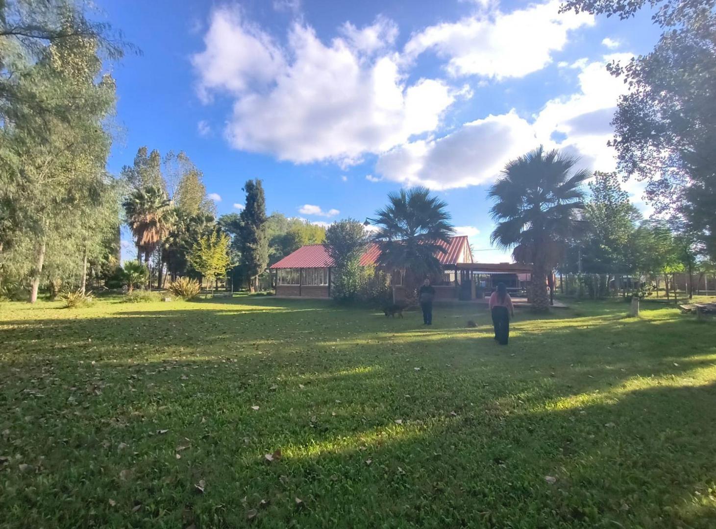 Foto de FINCA MAS SALON EN VENTA – EL ALGARROBAL, imagen 1