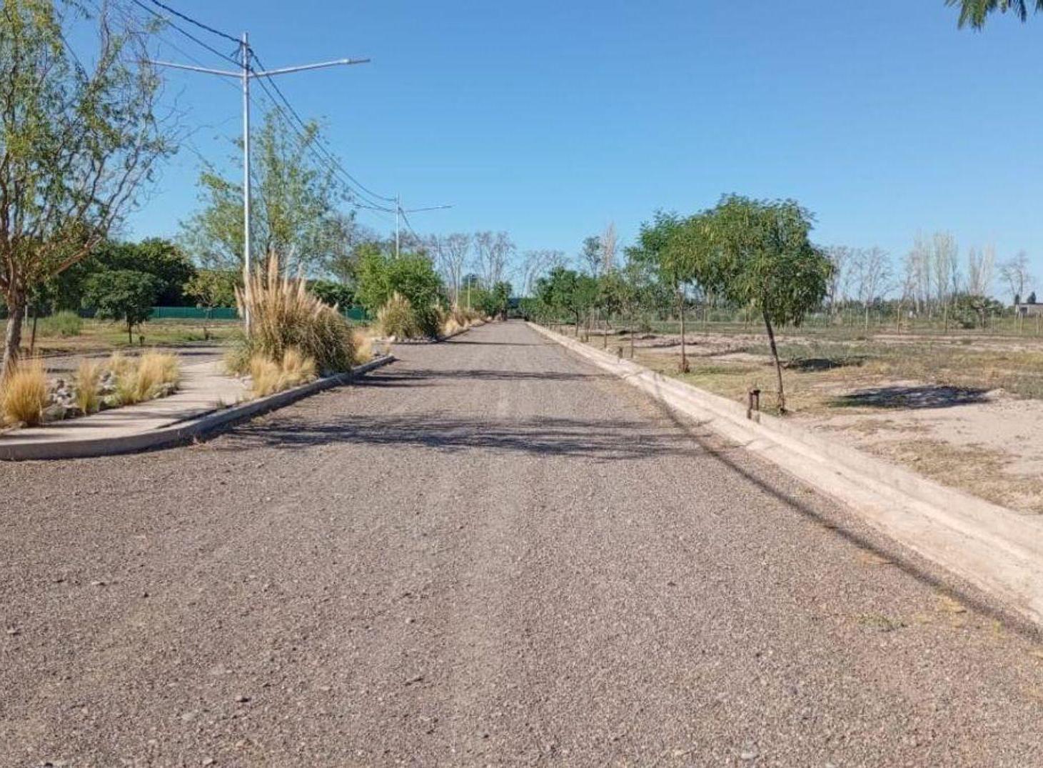 Foto de LOTE EN SUELOS DE OLAVARRIA, PERDRIEL- LUJAN, imagen 3