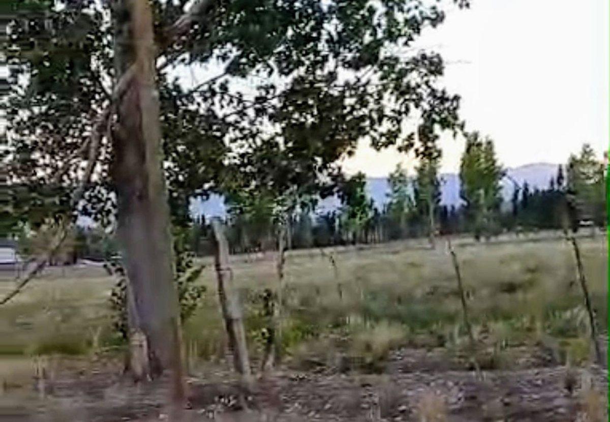 Foto de VENTA DE LOTES EN SAN ALBERTO USPALLATA MENDOZA, imagen 3
