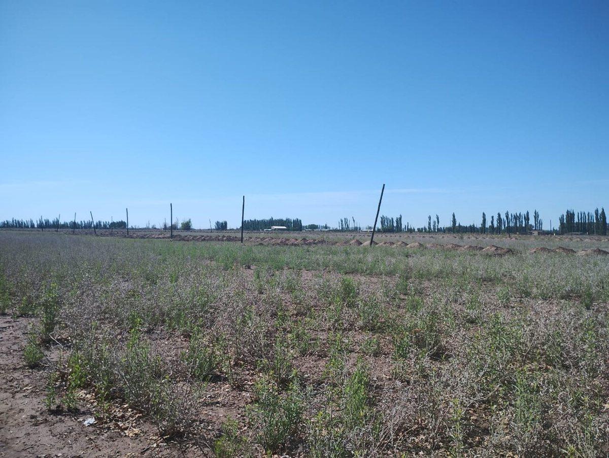 Foto de CALLE LOS PINOS GRAN INVERSIÓN!, imagen 3