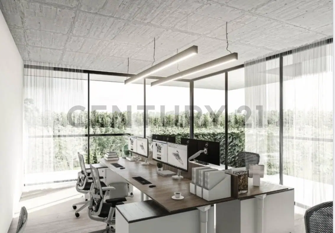 VENTA!! OFICINAS BURO CANNING MUY LUMINOSO CON ROOFTOP EXCLUSIVO 5
