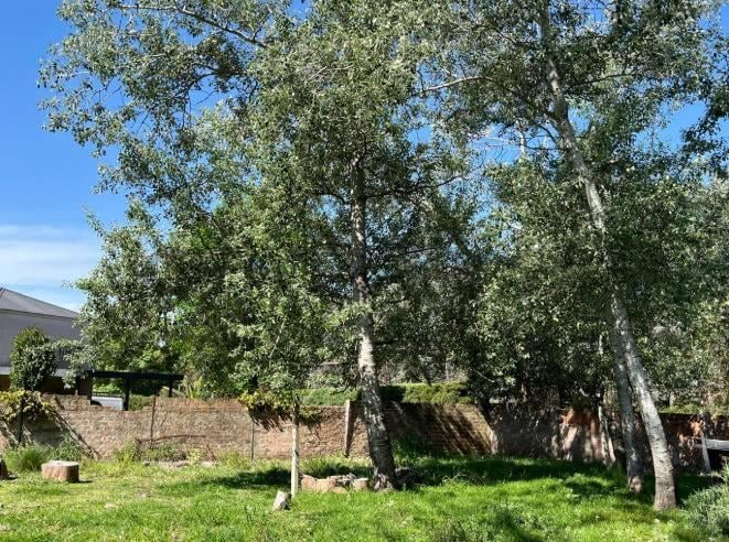 Foto de VENTA TERRENO 3084 M2, VILLA ROSA PILAR, imagen 4