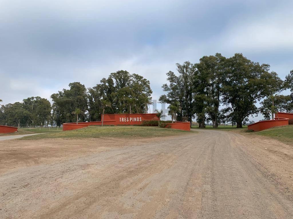 Foto de Lote en venta en Barrio Tres Pinos Villa de Campo, imagen 2