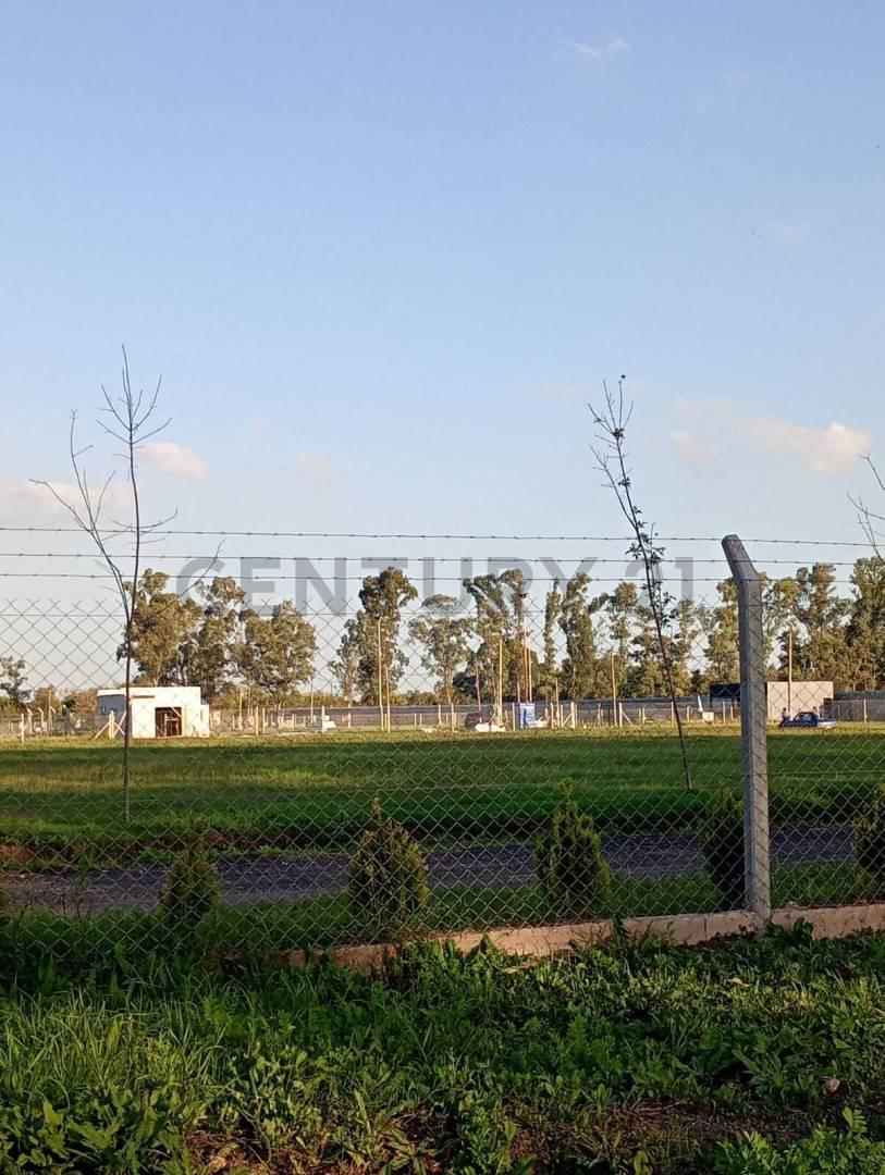 Foto de Lote en Solares Village, imagen 4