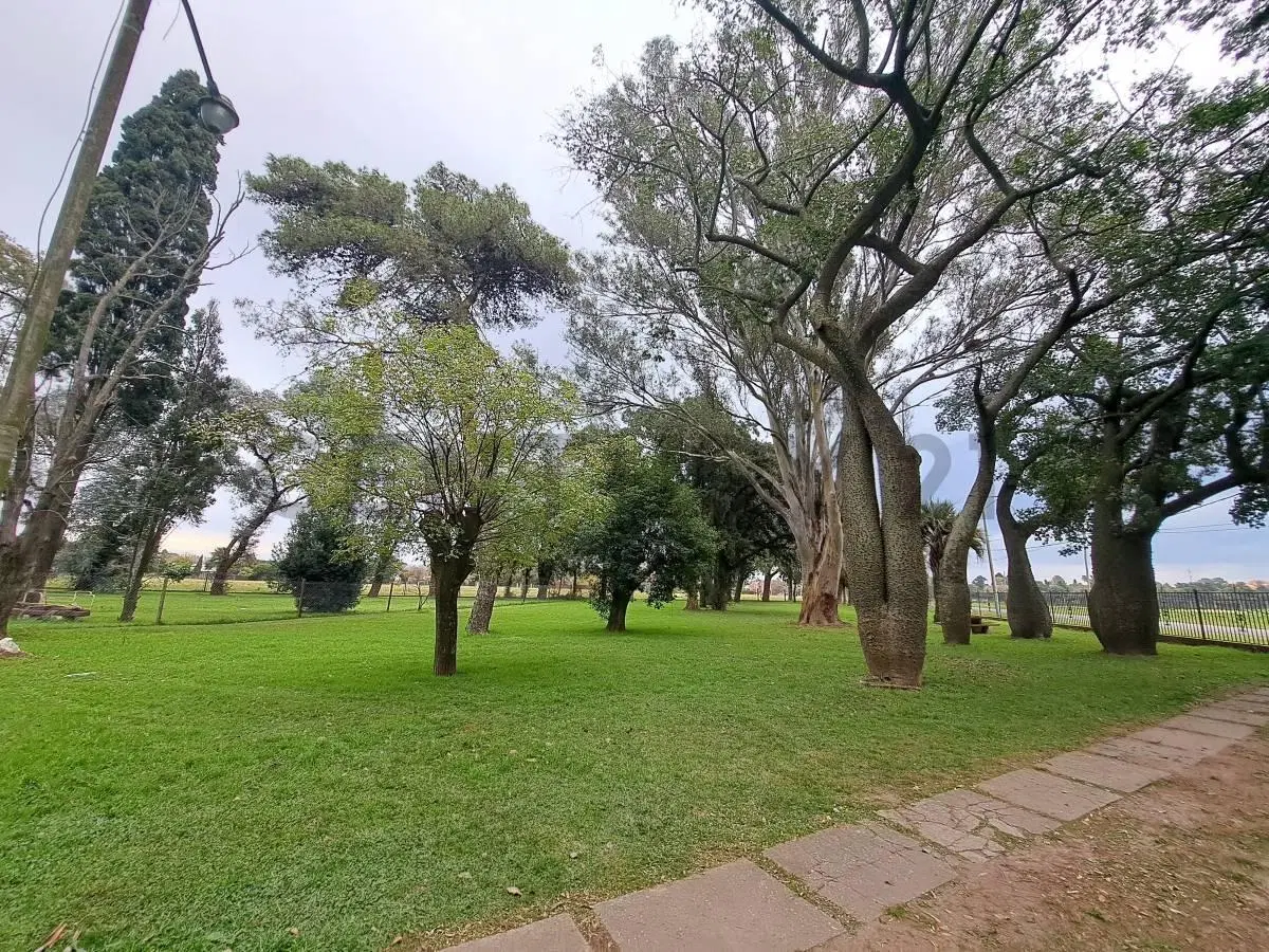 VENTA GRAN LOTE ARBOLADO en PUEBLO ESTHER 4