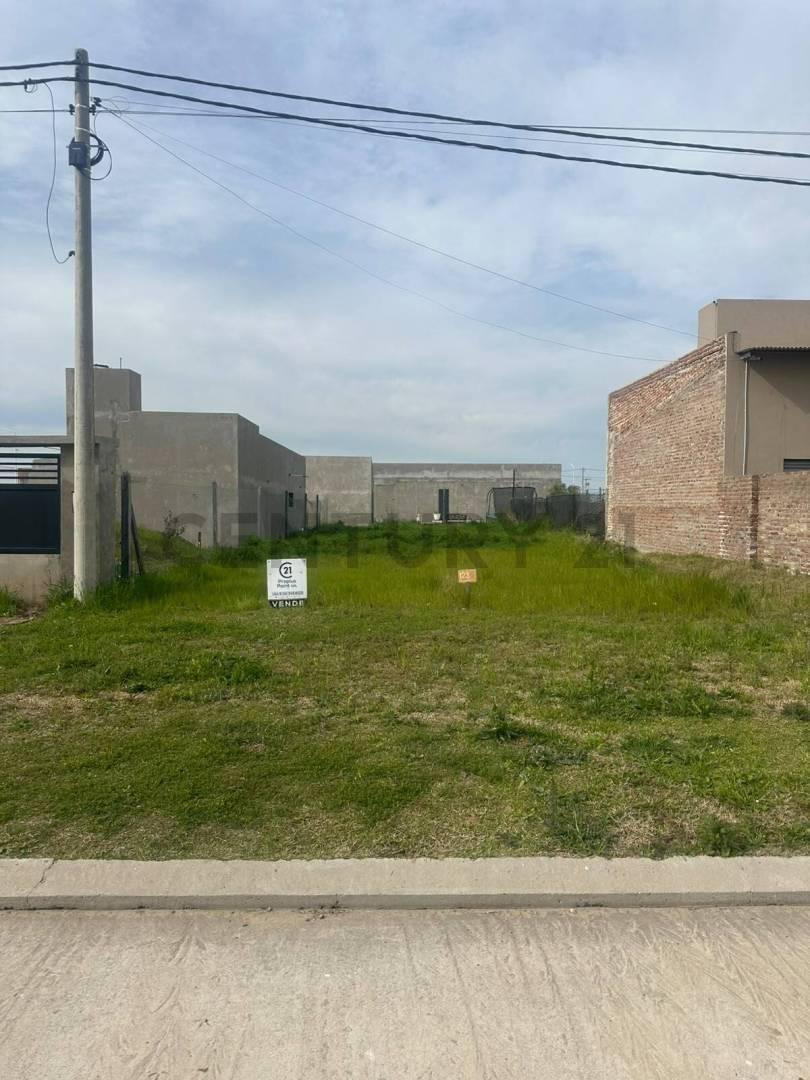 Foto de Venta Terreno Estación Alvear, imagen 4