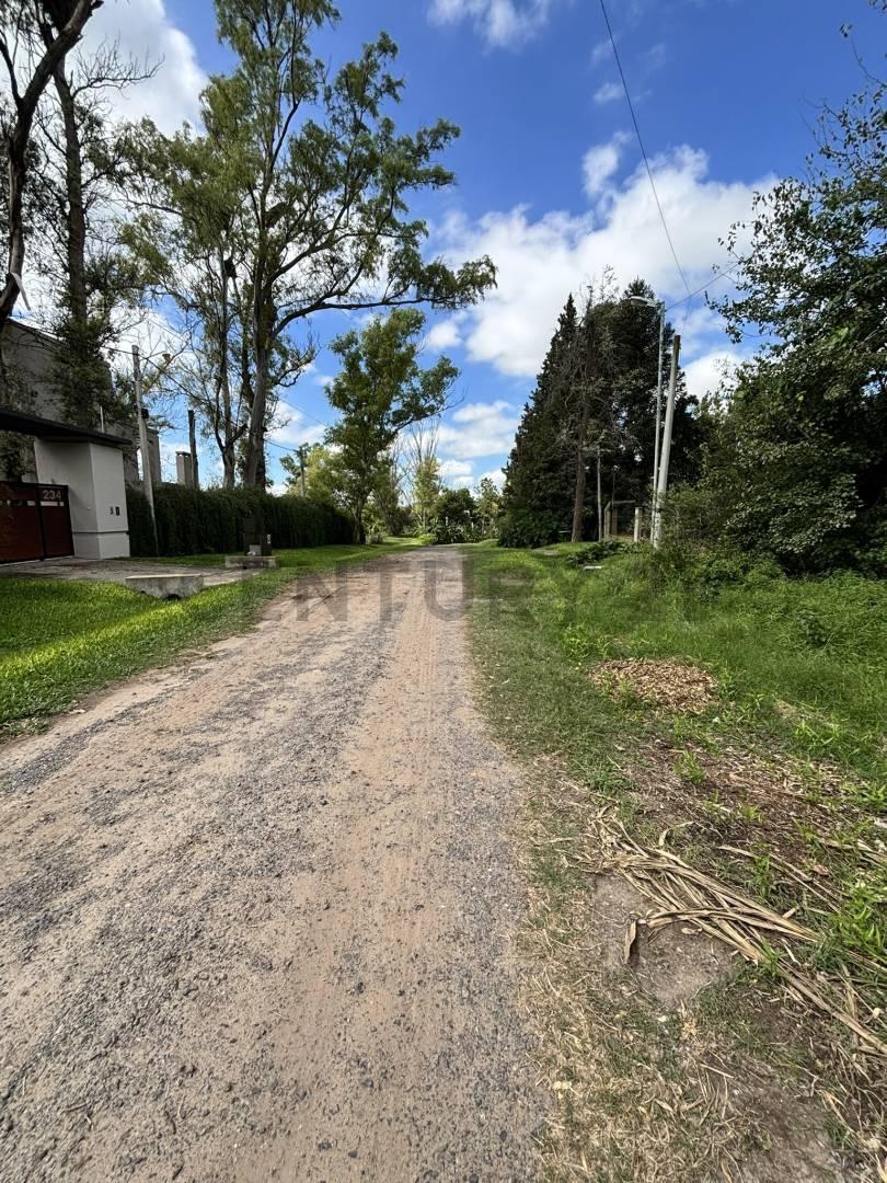 Foto de TERRENO EN VENTA – ANDINO, imagen 2