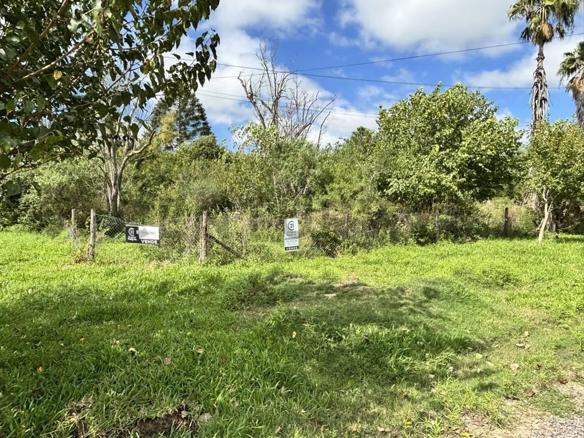 Foto de TERRENO EN VENTA – ANDINO, imagen 3