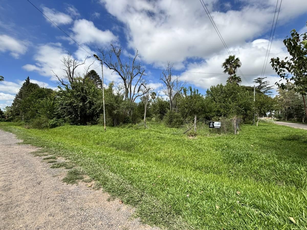 Foto de TERRENO EN VENTA – ANDINO, imagen 4
