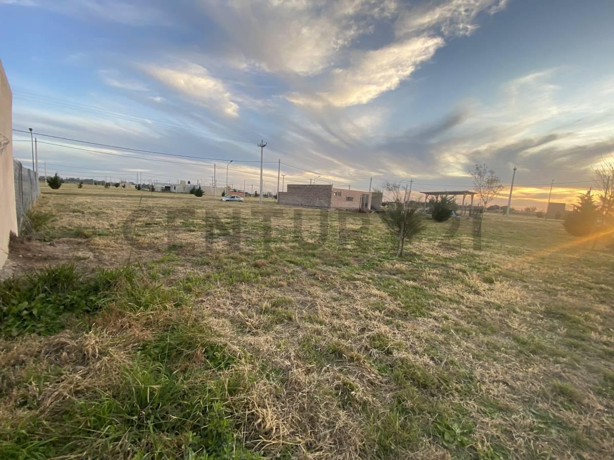 Foto de lote de 385m2, Los pinos 4 - ruta 18 km 12.5, imagen 5