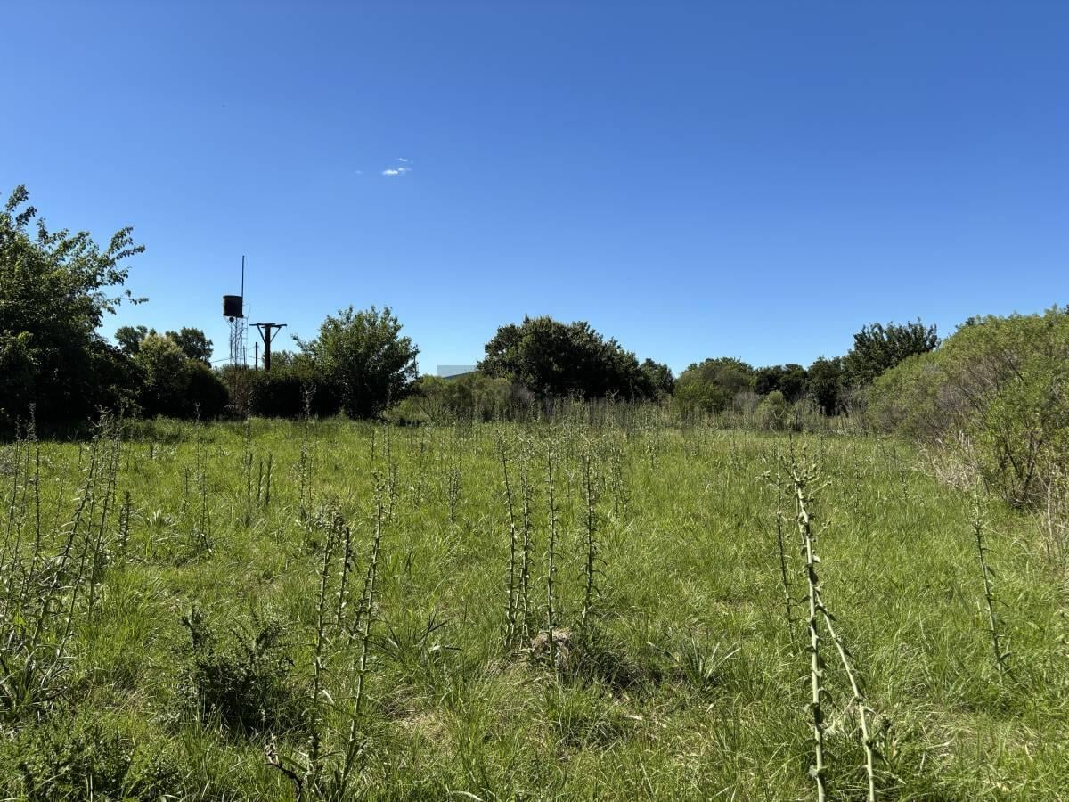 Foto de VENTA TERRENO EN PUEBLO ANDINO 1500M2, imagen 4