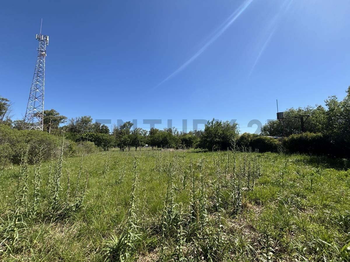 Foto de VENTA TERRENO EN PUEBLO ANDINO 1500M2, imagen 5
