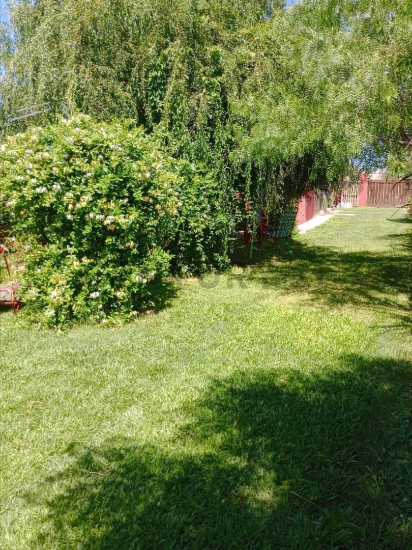 Foto de Venta casa 2 dormitorios Zavalla, imagen 3
