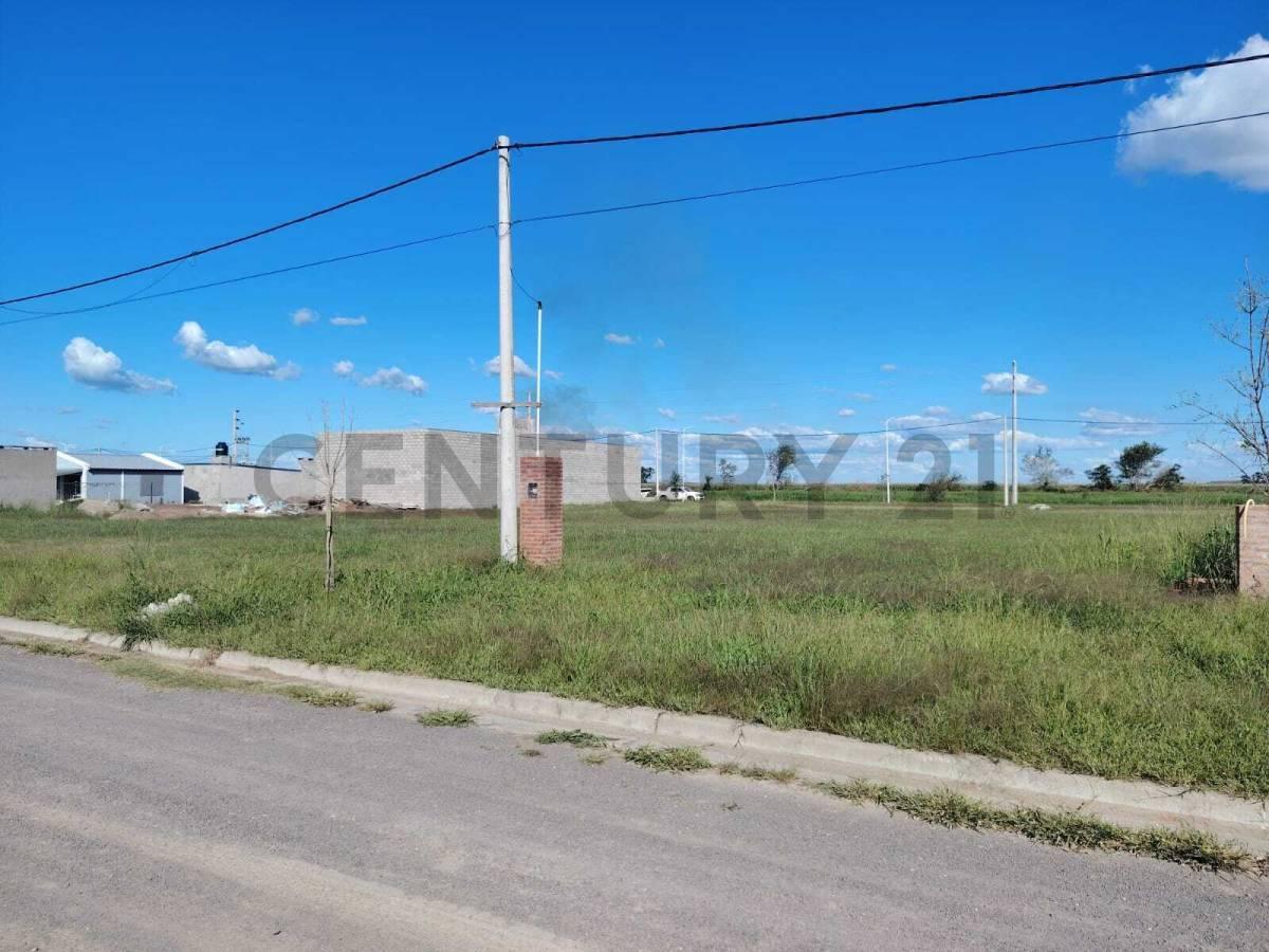 Foto de Lote 300 m² en Barrio Las Moras – Ricardone | Excelente ubicación y, imagen 5