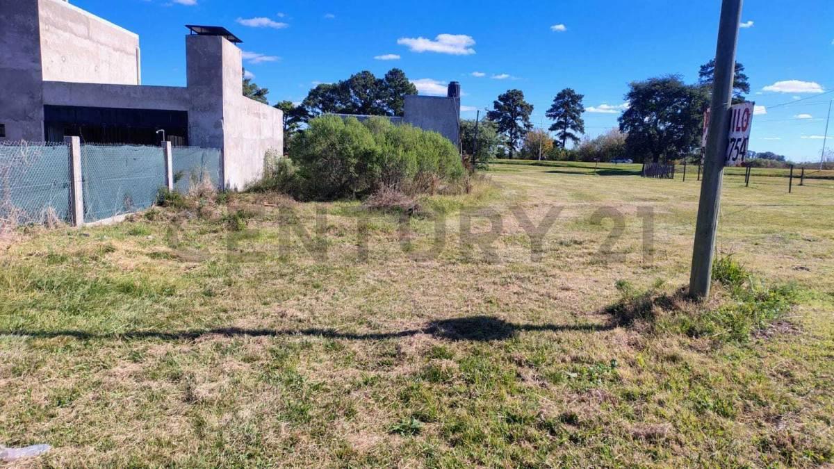 Foto de VENTA HERMOSO LOTE ANDINO, imagen 4