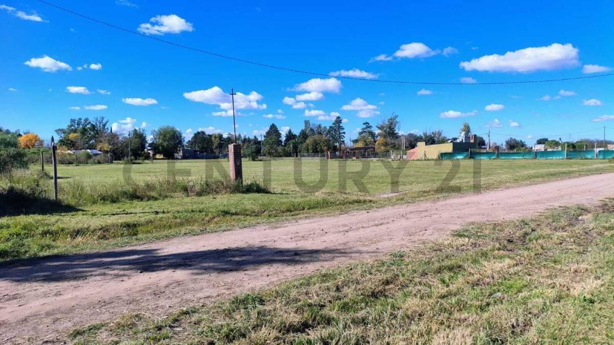 Foto de VENTA HERMOSO LOTE ANDINO, imagen 3