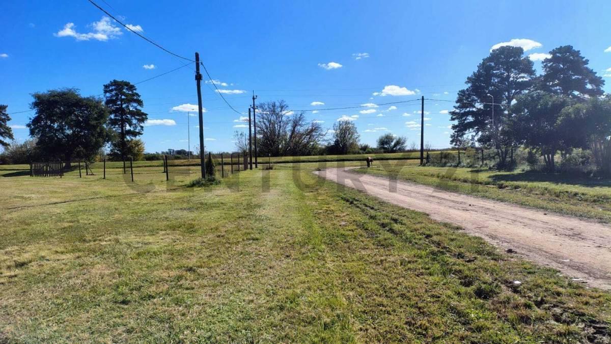 Foto de VENTA HERMOSO LOTE ANDINO, imagen 2