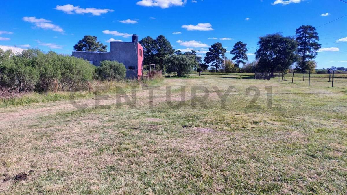 Foto de VENTA HERMOSO LOTE ANDINO, imagen 5