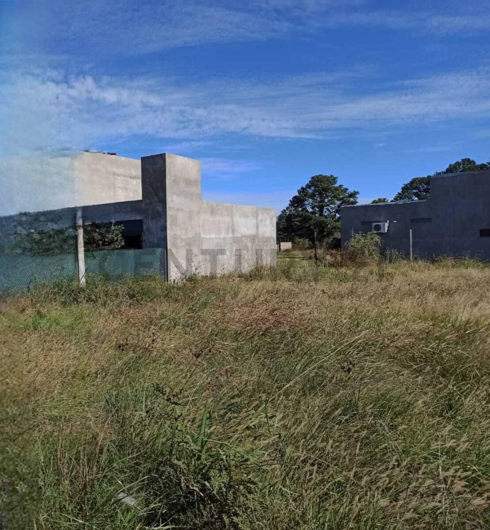 Foto de VENTA HERMOSO LOTE ANDINO, imagen 1