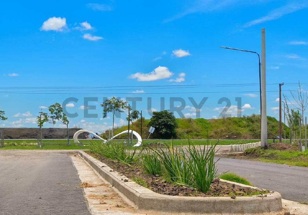 Foto de Venta terreno 300 m2 en EcoVida | Villa Amelia, imagen 4